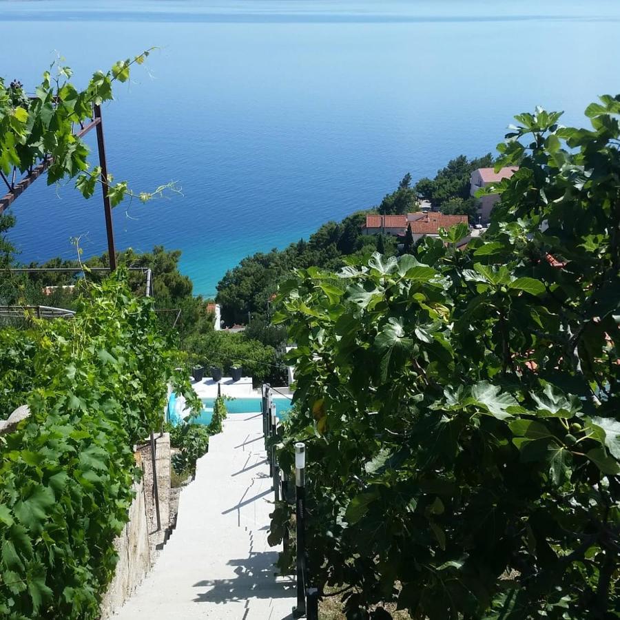 Waterview Apartments - Koru Apartment And Pool Mimice Dış mekan fotoğraf
